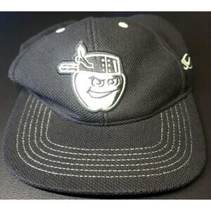 Fort Wayne Tin Caps Black Breathable OC Sports Youth Hat Cap